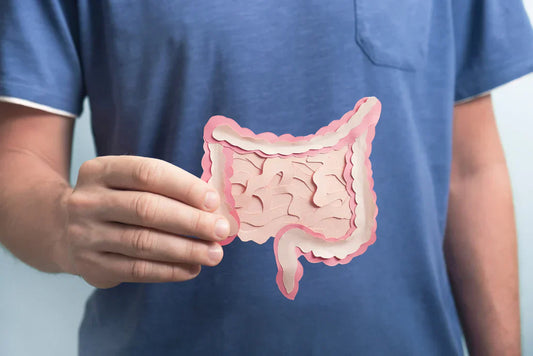 The Role of Probiotics in Gut Health